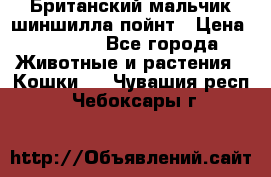 Британский мальчик шиншилла-пойнт › Цена ­ 5 000 - Все города Животные и растения » Кошки   . Чувашия респ.,Чебоксары г.
